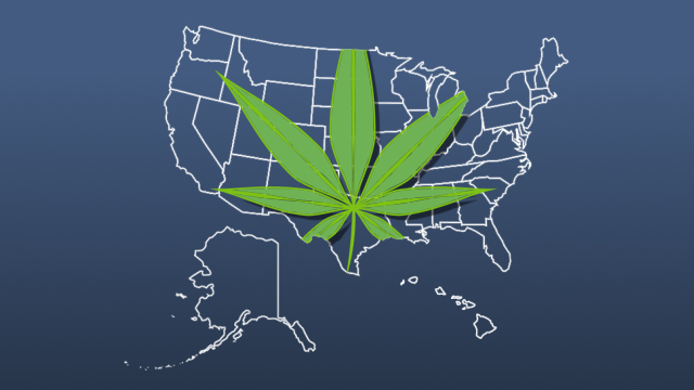 尽管大麻使用在许多国家合法，但它是联邦犯罪，DOT是联邦政府的一部分