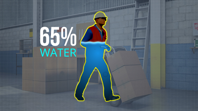 当适当补水时，我们身体的65%是由水组成的。