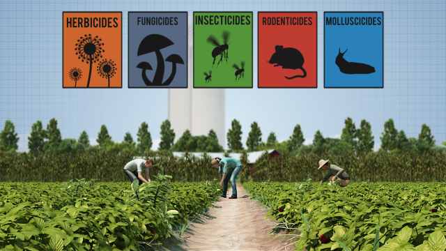 在农业中，杀虫剂被用来控制损害农作物的害虫。