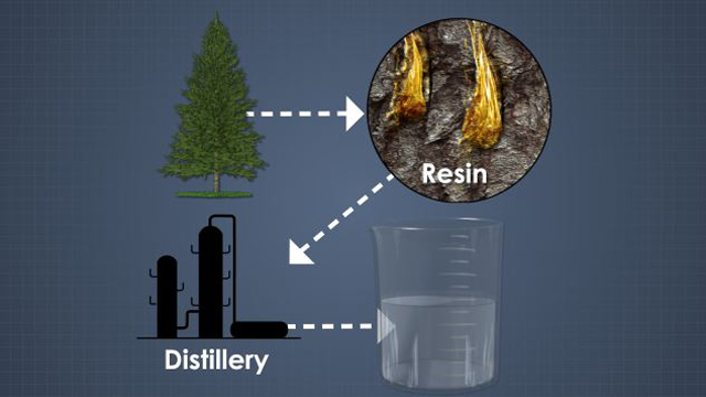 松节油是从活树中提取的树脂蒸馏而成。