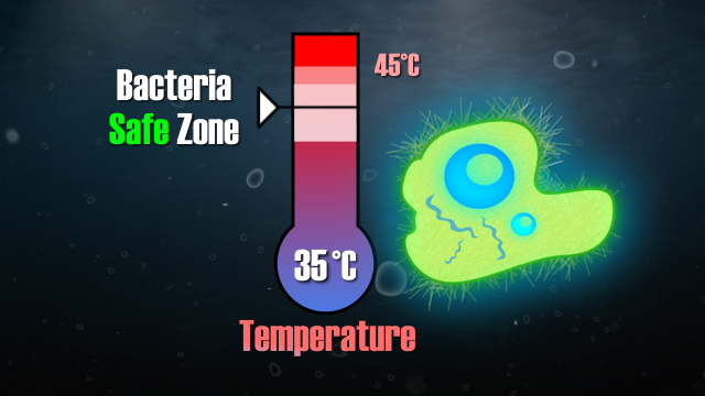 有氧微生物在35℃（95°F）约为35°（95°F）。