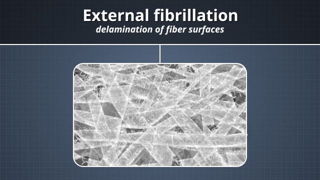 外部纤维化是纤维表面的分层。这增加了可用于粘合的总表面积。